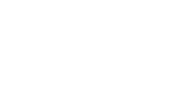 ARTDOM